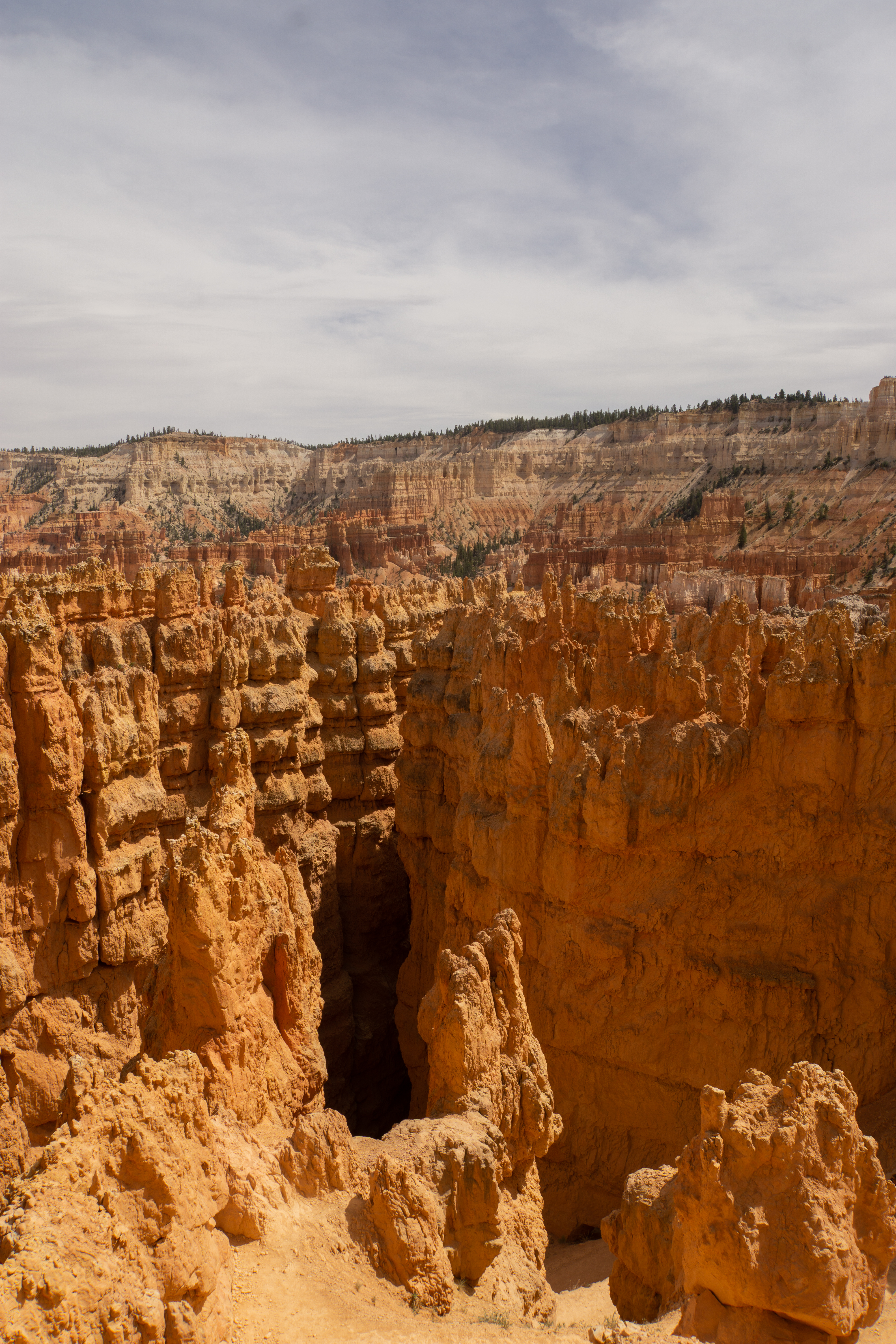 US National Parks 2022 20